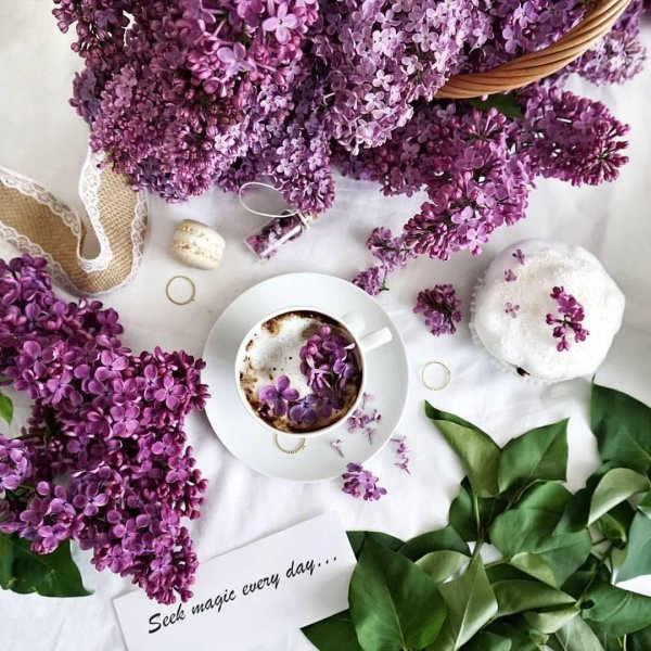 сиреневое утро