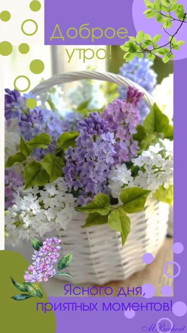 весеннего утра