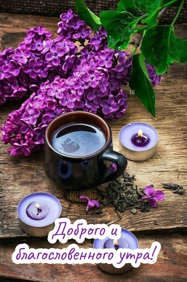 чаепитие в сиреневых тонах