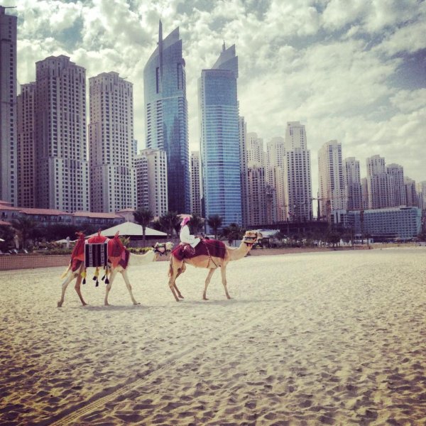 объединенные арабские эмираты оаэ