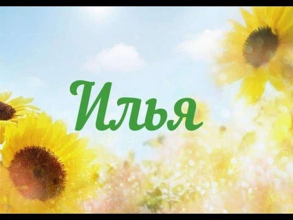 именины владимира