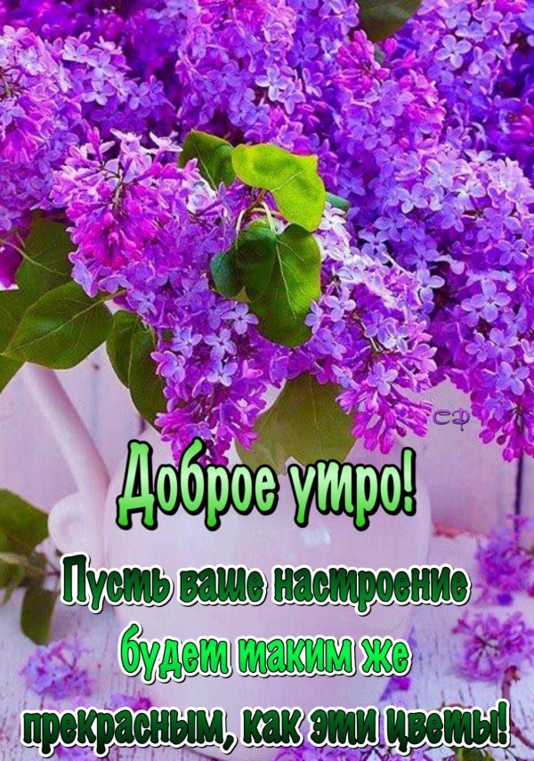 доброго майского утра