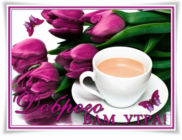 красивая открытка с добрым утром
