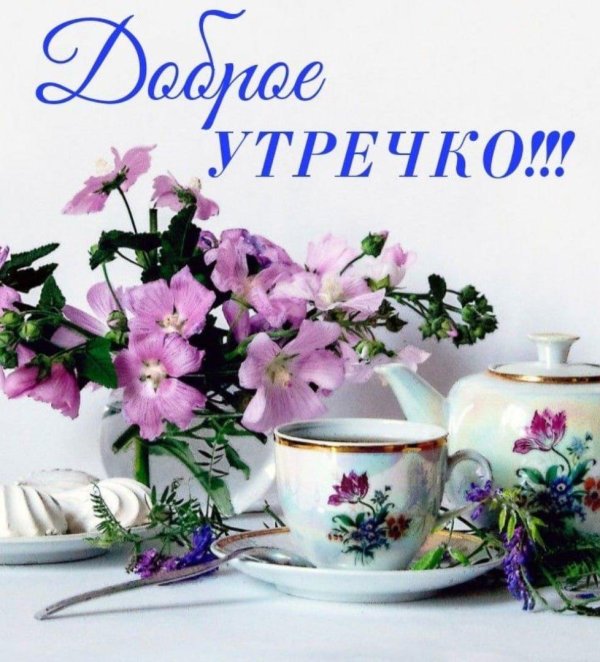 добра утра