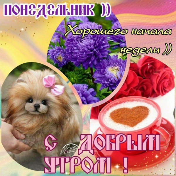 пожелание хорошего понедельника