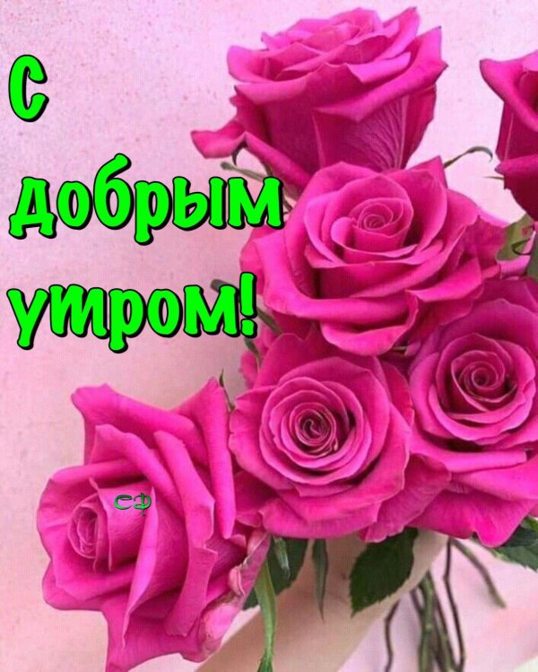 доброе утро прекрасная