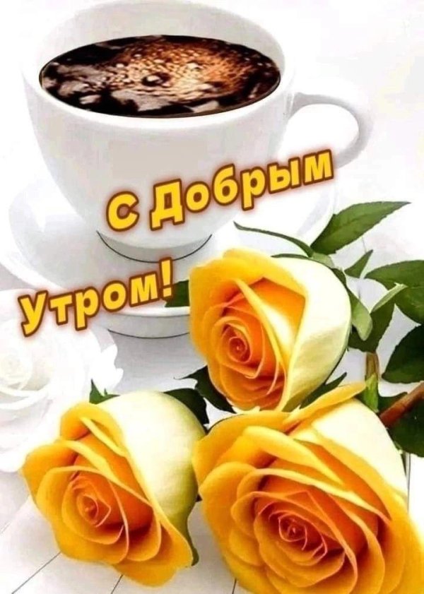 добра утра