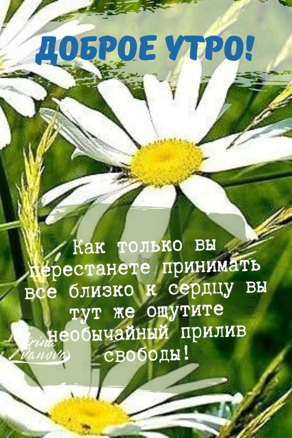 доброе утречко солнышко