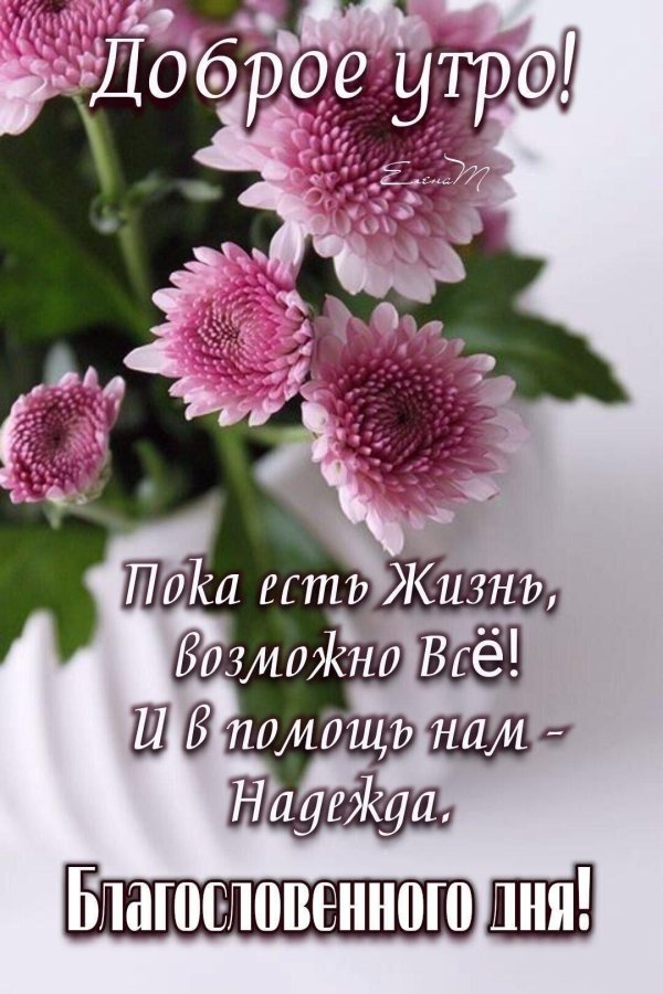 цветок красивый