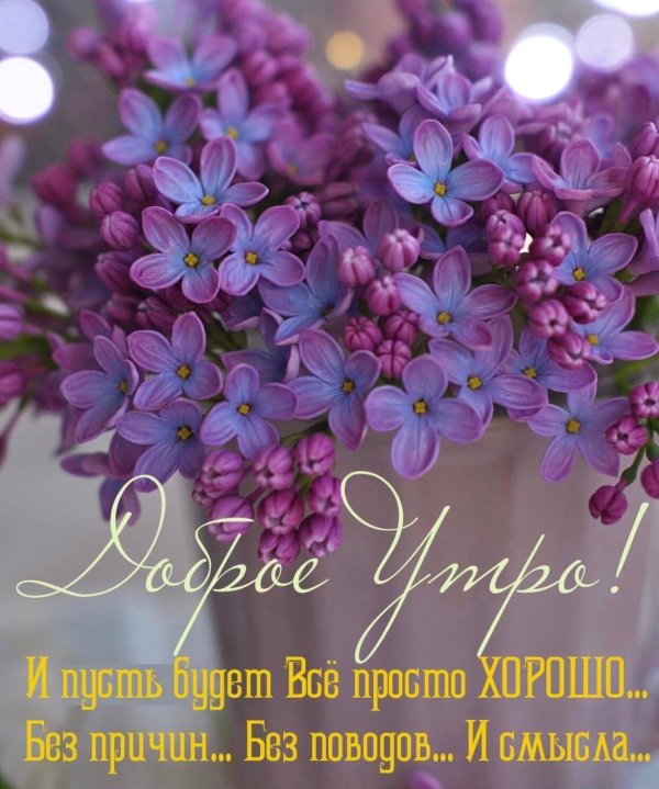 прекрасного дня