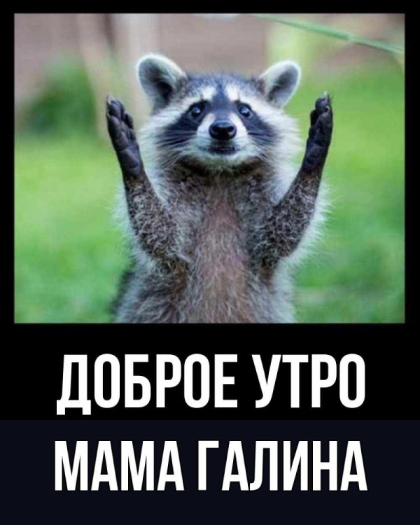 доброго утра мамочка