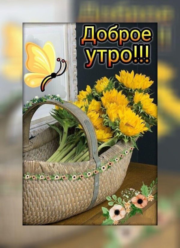 доброго утра август