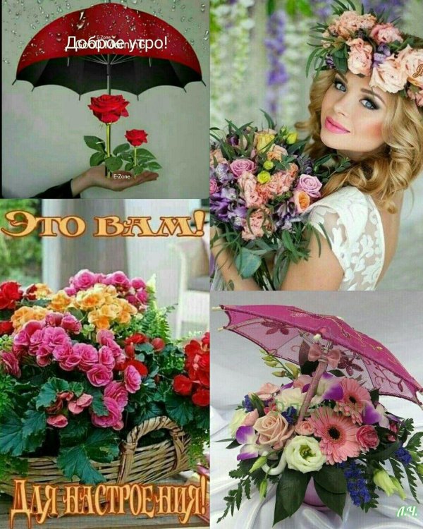 цветочная композиция зонт