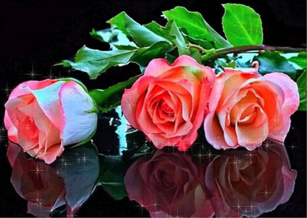 красивой женщине красивые цветы