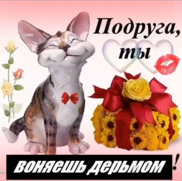 подруга ты прелесть