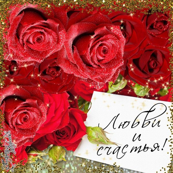 розы поздравление