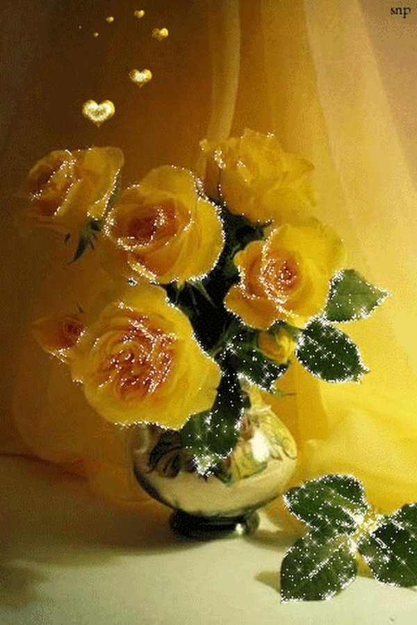 жёлтые розы