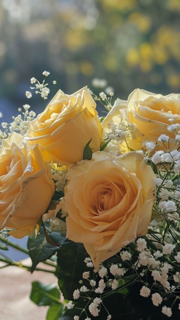 букет красивый цветов