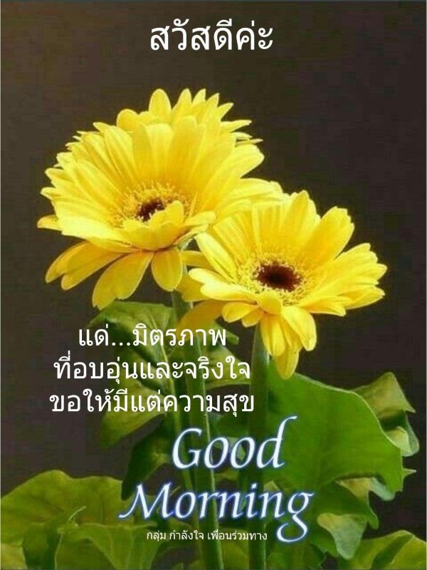 красивая цветок