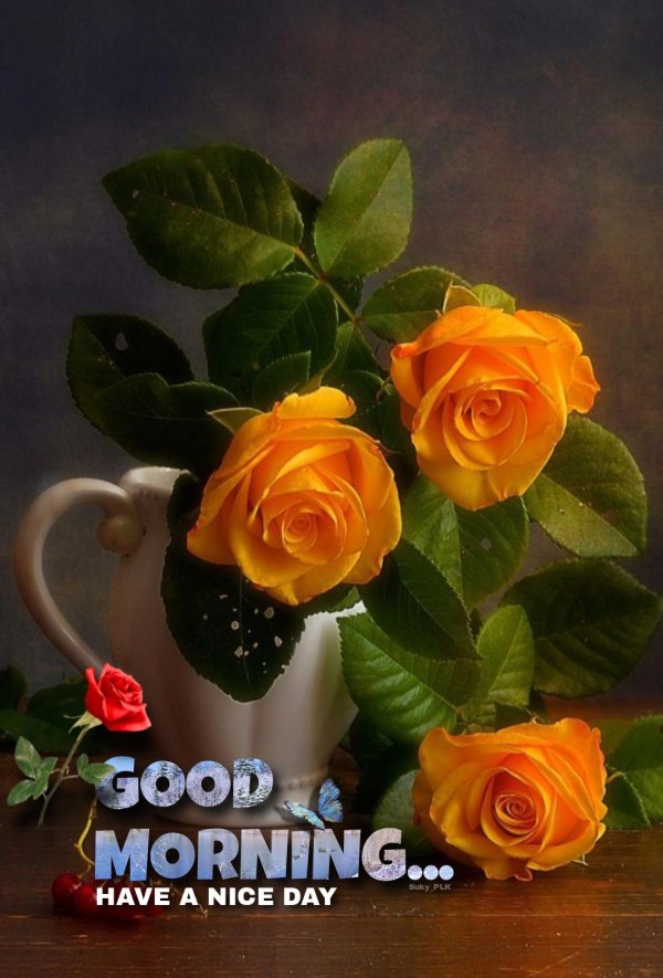 Доброе утро желтые розы