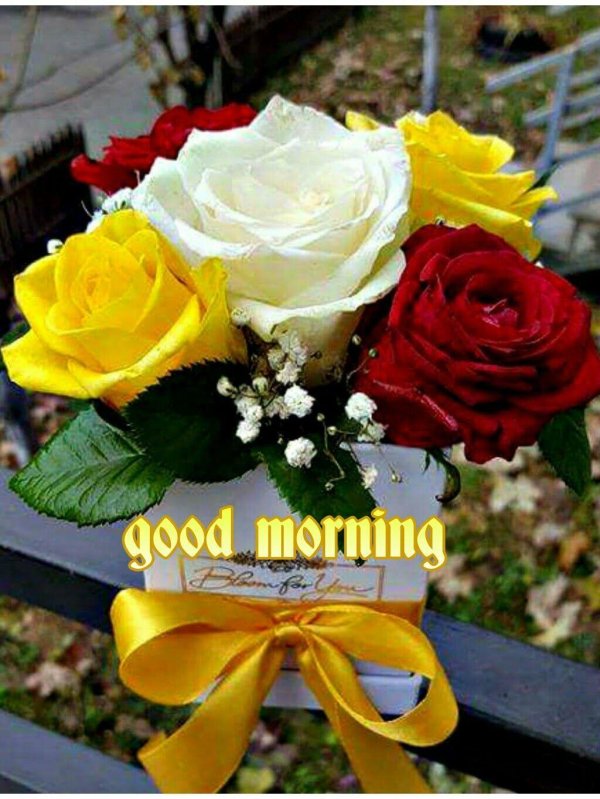 beautiful good morning