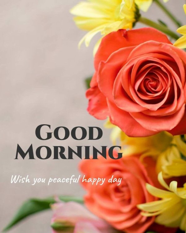 good morning flowers