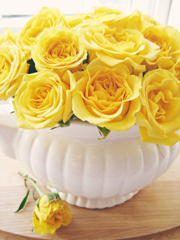 роза йеллоу романтика