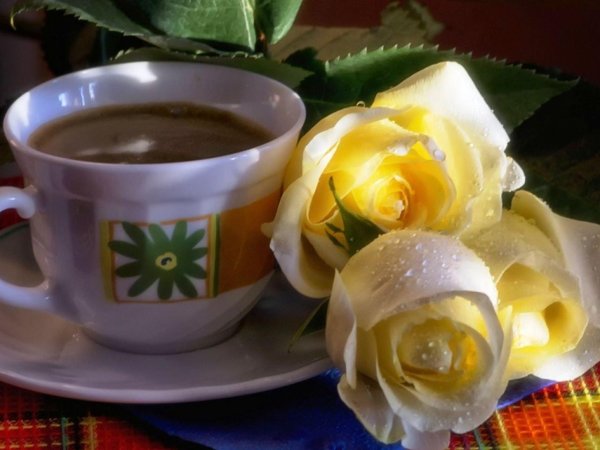 кофе розы
