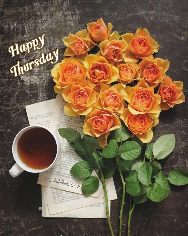 happy thursday