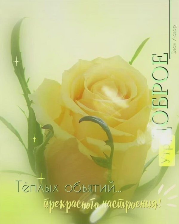 открытка поздравительная