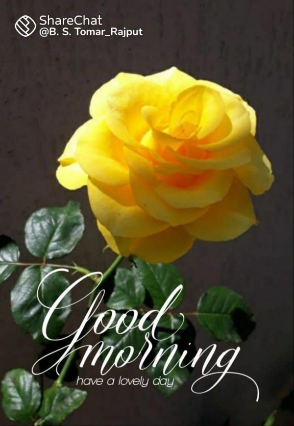 good morning flowers