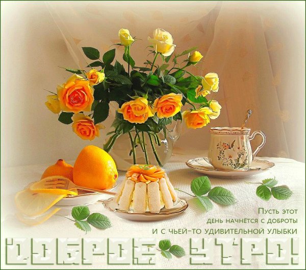 хорошего светлого дня