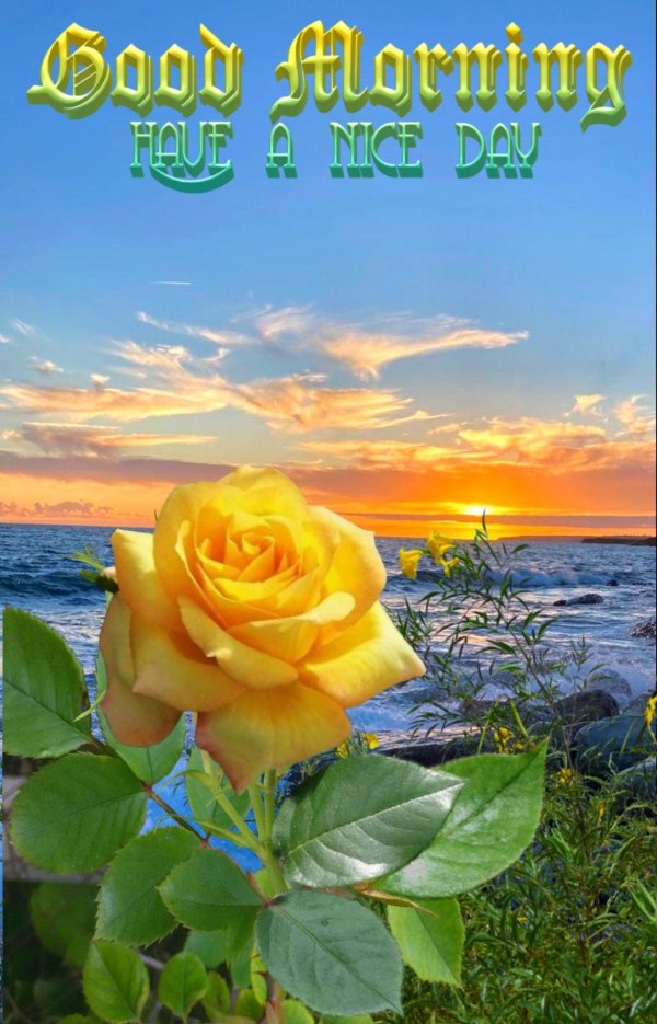 have a beautiful day