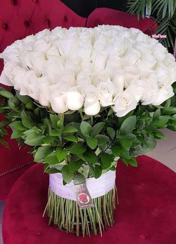 большие красивые букеты