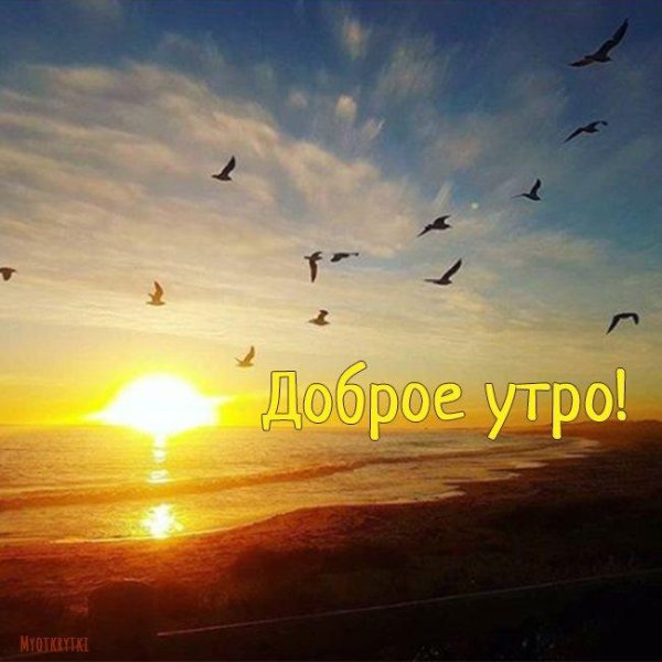 хорошего дня рассвет