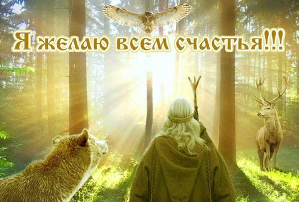 велес велесова ночь