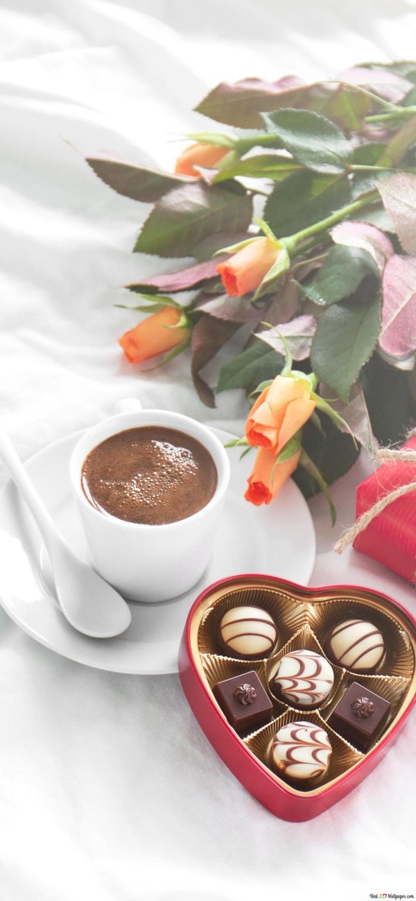 конфеты и цветы