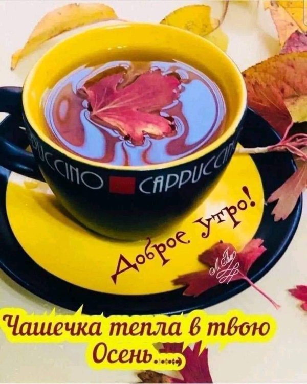 теплого осеннего утра