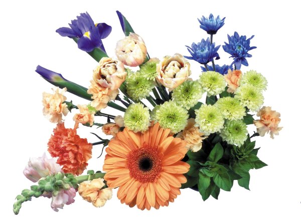 цветочные букеты