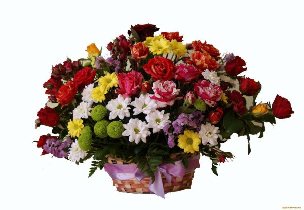 хризантема кустовая ассорти