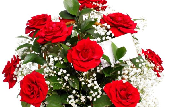 роза и гипсофила