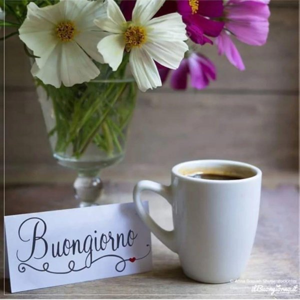 buongiorno fiori