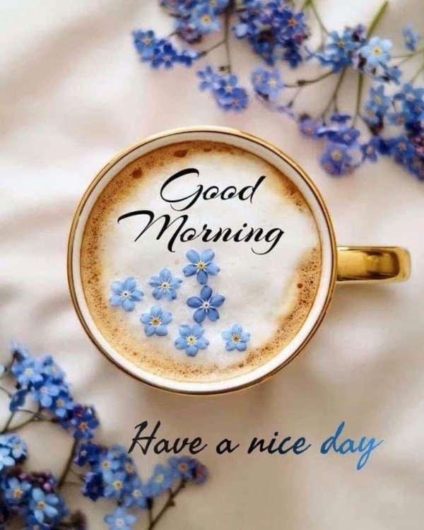 добра утра