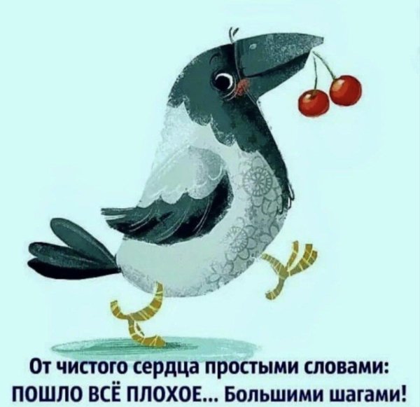 мультяшная сорока