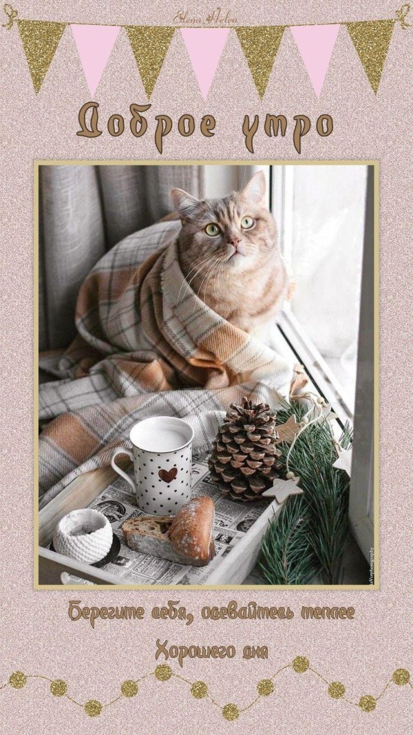 теплого доброго утра