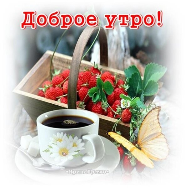с добрым утром красивые новые