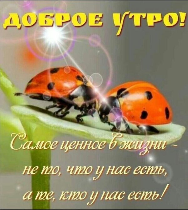 Доброе утро будьте здоровы берегите себя