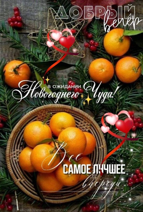 новогоднее пожелание