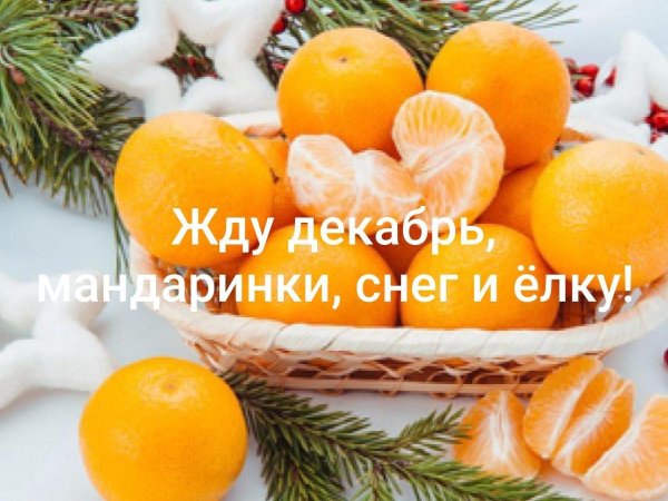 мандарины зимой