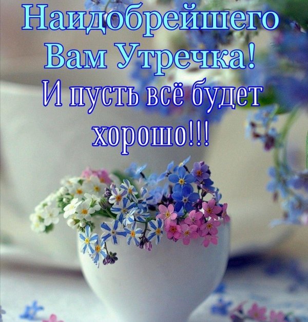 чашка незабудки